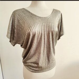 Kim and cami pretty goldish silver‎ blouse